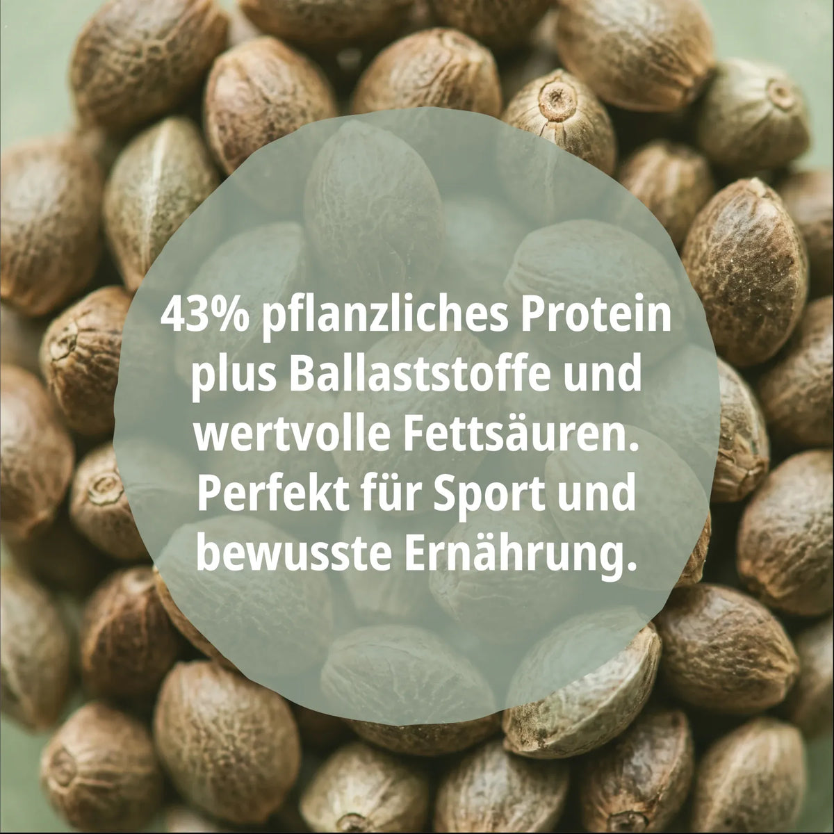 Hanfsamen mit Text über 43 Prozent pflanzliches Protein Ballaststoffe und Fettsäuren